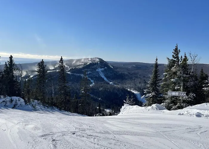 Ski In Ski Out Townhome, Indoor And Outdoor Pools, Hot Tub, Fire Pits, And More