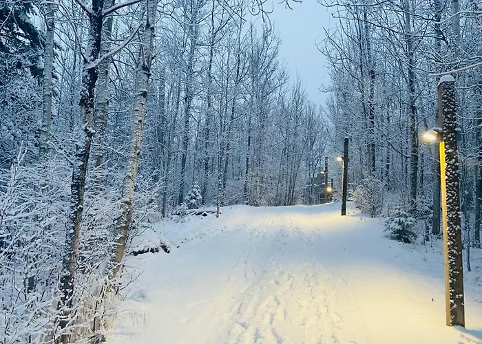 Ski In Ski Out Townhome, Indoor And Outdoor Pools, Hot Tub, Fire Pits, And More